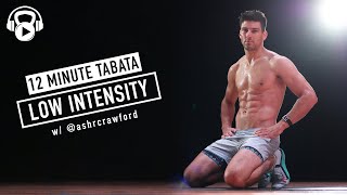 12 MINUTE  LOW INTENSITY Bodyweight Workout  w Ash Crawford [upl. by Akzseinga]