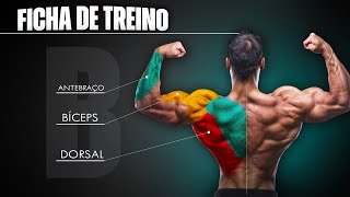 Montando um TREINO B de COSTAS BÍCEPS E ANTEBRAÇO com TODOS EXERCÍCIOS e Nº DE SÉRIES [upl. by Kcir627]