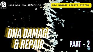 DNA Damage Repair System  Different Types of DNA Damage Repair  DNA Damage amp Repair Part 2 [upl. by Lindgren]