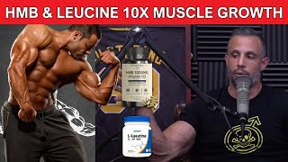 HMB vs Leucine Do HMB and Leucine Work for Muscle Growth amp Body Building [upl. by Sivi]