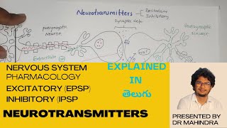 Neurotransmitters  Nervous system  Pharmacology [upl. by Winnifred]