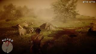 LEMOYNE RAIDERS HOLDUP  RDR2 [upl. by Vachill]