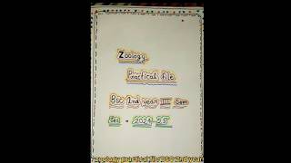 Bsc 2nd year zoology practical file zoology video shortvideo [upl. by Ylime158]