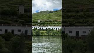 Cruising at Douro Valley cruise wine portugal douro porto caminodesantiago rivercruise love [upl. by Dnomder674]