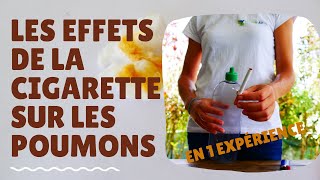 Les effets de la cigarette sur les poumons en 1 expérience [upl. by Snyder]