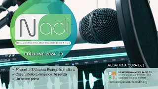 Notiziario ADI  202423 [upl. by Naghem]