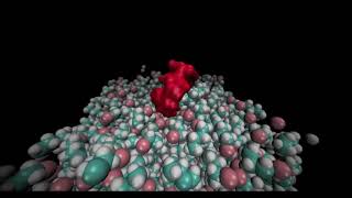 Molecular Dynamics of Cyclodextrin at WaterOil Interface [upl. by Bijan]