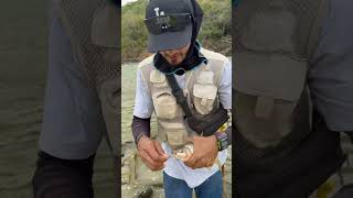 Pescando comelones 🎣🏔️fishing pescaria fish pescados pesca flyfishing pescadores [upl. by Gnohc686]