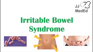 Irritable Bowel Syndrome IBS Causes Symptoms Bristol Stool Chart Types and Treatment [upl. by Tiedeman]