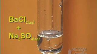 Double Displacement Sodium Sulfate and Barium Chloride [upl. by Ellednek]