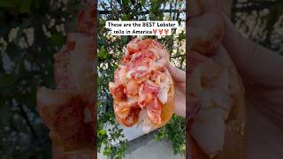 The BEST lobster rolls in America seafood lobster lobsterroll [upl. by Bord]