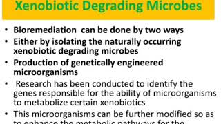 Dr Deepa R Pillai  Microbial Degradation of Xenobiotics [upl. by Odnumyar]