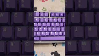 my new silent keyboard [upl. by Lanahtan627]