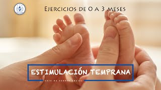 Estimulación Temprana de 0 a 3 meses [upl. by Salita778]