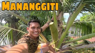 Buhay Mananggiti  Katuba Official [upl. by Yajeet]