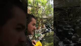 loro parque tenerife holiday tenerife loroparque zoo animals goodtimes goodvibes pov povs [upl. by Aleck]