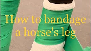 How to bandage a horses leg SupportStandingShipping bandage AAEP guidelines CPE [upl. by Yand]