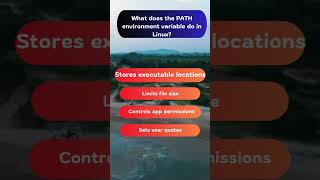 Purpose of the PATH Environment Variable in Linux computerbasics [upl. by Adnirem]