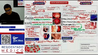 REPASO I  INFECTOLOGÍA [upl. by Halyahs]