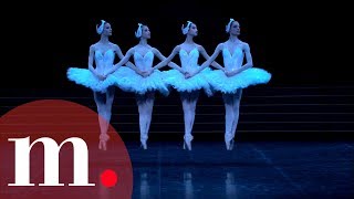 Swan Lake Tchaikovsky  Dance of the Little Swans [upl. by Fasto]