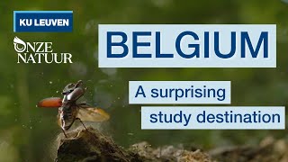 Discovering Belgiums Natural Beauty our mission as a sustainable study destination in Europe [upl. by Lerner]