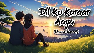 Dil Ko Karaar Aaya  SlowedReverbLofi  pallo songs  Lofi 💞 [upl. by Tresa]