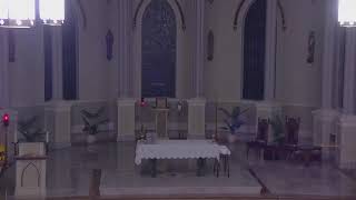 November 26 2024 at 800 am Catholic Mass from St Philip in Vacherie LA [upl. by Bodi780]