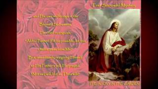 Rosary Novena  Sorrowful Mysteries  In Petition [upl. by Shear738]