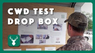 How to Use a CWD Test Drop Box [upl. by Elman]