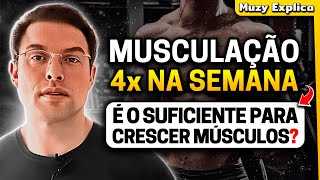 MUSCULAÇÃO 4 VEZES POR SEMANA  Muzy Explica [upl. by Bruns]