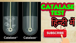 Catalase test bacterial identification in hindi [upl. by Sukey4]