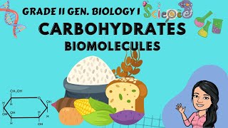 Carbohydrates  Grade 10 4th Quarter Tagalog [upl. by Sinai]