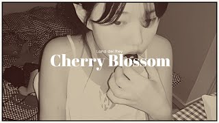 Lana del Rey  Cherry Blossom  letra en español  cleorred [upl. by Idelia611]