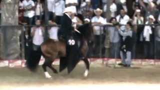 PRODIGIO DE MARIA ROSA COPA MEDELLIN 2013 [upl. by Shandeigh764]