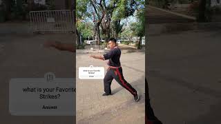 Double Zero Strike  Doblada arnis striking [upl. by Nedrud984]