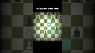 A brilliant chess game edit chessedit [upl. by Lesnah558]