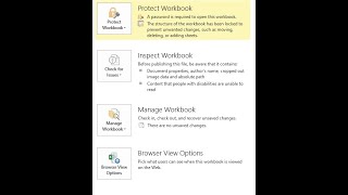 11 File Info Protect Workbook  Inspect Workbook  Manage Workbook  Browser View option Excel [upl. by Norha]