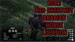 RDR2 RED CHESTNUT ARABIAN HORSE LOCATION [upl. by Yeffej]