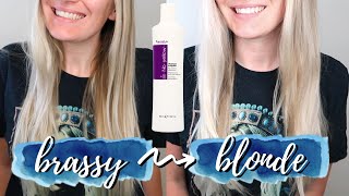 FANOLA NO YELLOW SHAMPOO APPLICATION AND REVIEW  honest results toning hair at home [upl. by Stacia]