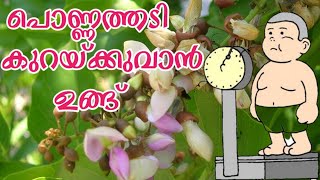 ഉങ്ങ്  pongamia pinnata tree  Ungu  പുങ്ക്  Pongame oil tree  indian beech  പൊങ്ങ്  pongam [upl. by Wolsniw]