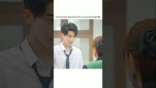 Love at first sight shortsfeed kdrama youtubeshorts cdrama ytshorts shortvideo shorts viral [upl. by Elyr]