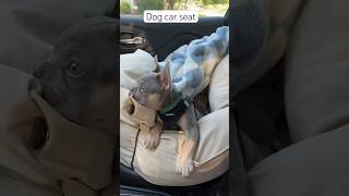 My favorite dog car seat [upl. by Saihtam]