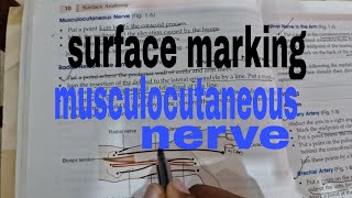 surface marking of musculocutaneous nerve anatomy [upl. by Rohn]