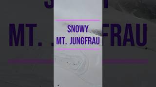 Mt Jungfrau snowy day Switzerland  Jun 2024 shorts [upl. by Cassey]