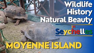 Explore Moyenne Island Seychelles Wildlife History and Natural Beauty [upl. by Ellah]