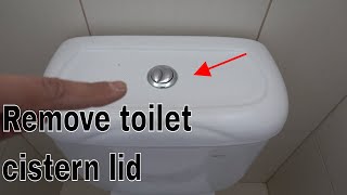 How to remove toilet cistern lid  Dual flush buttons [upl. by Ahtreb]