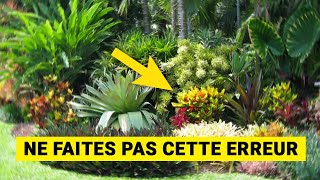 15 Plantes TROPICALES pour Jardin 😍 Plantes Exotiques [upl. by Jammin]