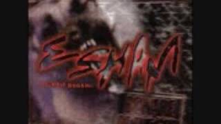 ESHAM  30 BIRDS [upl. by Remde]