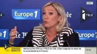 Marine Le Pen  Le Grand Rendez vous politique 230913 [upl. by Merrily]