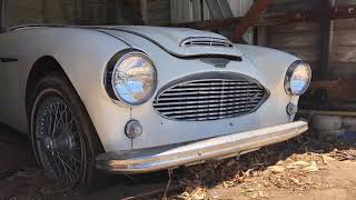 BARN FIND 1962 AustinHealey 3000 Convertible [upl. by Ihpen]